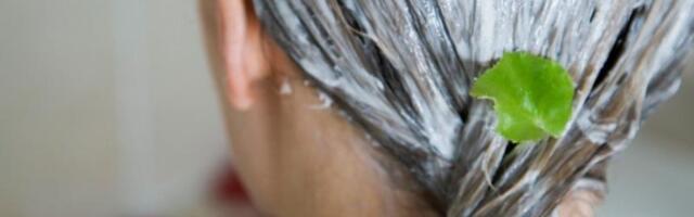 Komšinica Ruskinja mi je otkrila masku za kosu od 3 sastojka i 100 dinara: One ovo koriste decenijama, kosa mi je kao iz frizerskog salona!