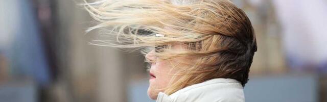 Hladno i vetrovito! Evo kakvo će vreme biti u Srbiji danas i šta nas očekuje u novogodišnjoj nedelji