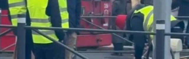 Црвени фесови и прасенце у режији блокадера