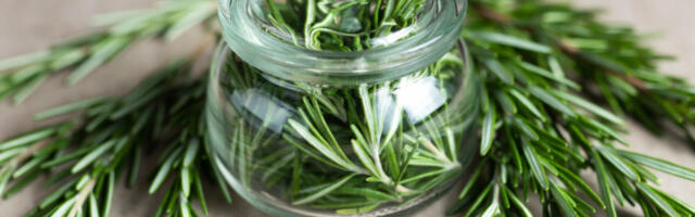 Teglica sa ruzmarinom mora da se nađe u vašoj spavaćoj sobi, potpuno će vam promeniti život