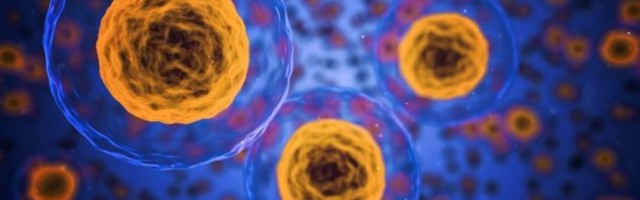 NEVEROVATNO NAUČNO OTKRIĆE! Ljudske ćelije imaju tajanstveni...