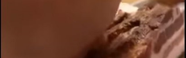 Najlepši video koji ćete ikada videti! (VIDEO)