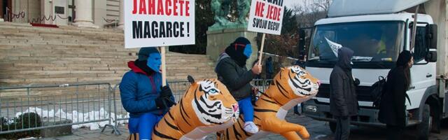 Imaginarna stvarnost