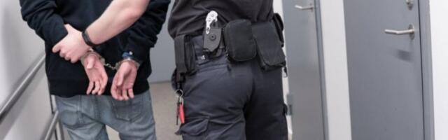 JEZIV PORODIČNI ZLOČIN U PANČEVU: Sin brutalno pretukao majku