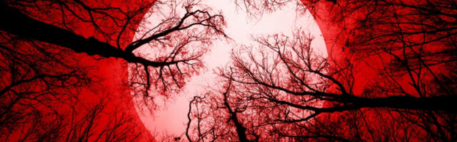 POMRAČENJE MESECA U BIKU 8. NOVEMBRA Ova 4 znaka u horoskopu mogu se naći na životnoj prekretnici