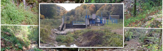 Reka Gračanica u Prijepolju presušila zbog investitora koji je hapšen u Crnoj Gori: U zaštićenom prostoru izgradili dve male hidroelektrane, pa kršili uslove države