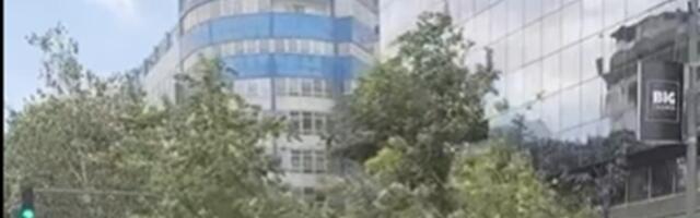 Oluja ČUPA STABLA: Jako nevreme zahvatilo Srbiju (FOTO/VIDEO)