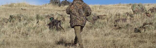 Na teritoriji opštine Sečanj ustanovljeno lovište „Ribnjak – Laštovo“