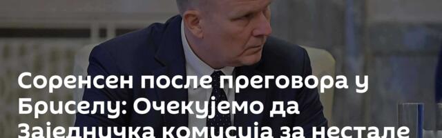 Соренсен после преговора у Бриселу: Очекујемо да Заједничка комисија за нестале уради свој посао