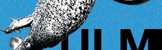 „Ulm“: Tmina koja dolazi iz stomaka