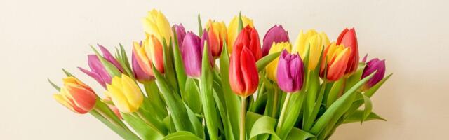 Ovaj trik iz frižidera čuva uskršnje cveće i do 10 dana: Svi prave istu grešku - zato vene već posle 2 dana