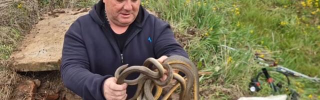 Vladica sišao u ZMIJSKO CARSTVO kod Merošine! Ovaj prizor nije za svakoga: "Ajde, momci, idemo..."