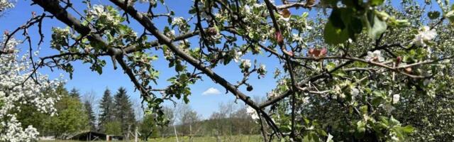 Neobična pojava na nebu iznad Šumadije: Evo kako to tumače