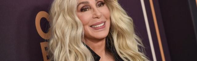 Sud odbio zahtev Šer za starateljstvo nad imovinom sina Ilajdže Blua Olmana