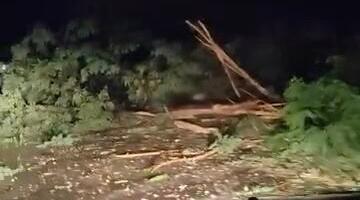 HAVARIJA KOD ČAČKA NAKON UDARA GROMA! Ruteri i aparati pregoreli, oluja čupala drveće i paralisala prigradsko naselje (FOTO)