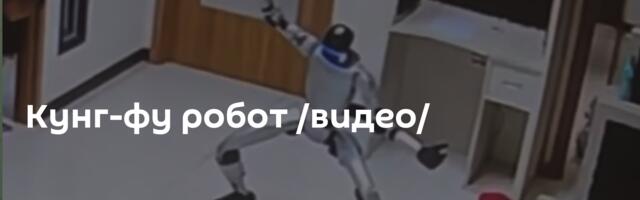 Кунг-фу робот /видео/