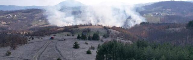 Drama kod Prijepolja i dalje traje: Vatra guta stabla Pančićeve omorike, na lice mesta stigla i dva helikoptera