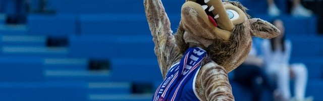 Cibona otpustila sve osim igrača