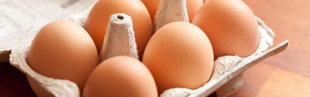 Evo kada je pravo vreme da kupite jaja za Uskrs: Ne čekajte poslednji čas, a pravilo "što svežije to bolje" je zabluda