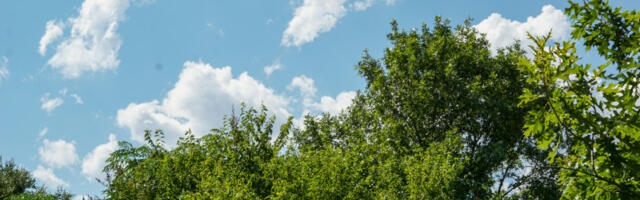 Još danas vedro i toplo vreme: Posle temperature do 22 stepena stiže zahlađenje