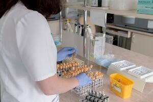 Поднете прекршајне пријаве против медицинских сестара ГАК "Народни фронт"