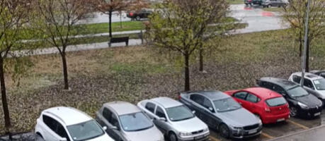 Zimski prizor obradovao najmlađe: Prvi sneg u Novom Sadu pao na isti dan kao prošle godine