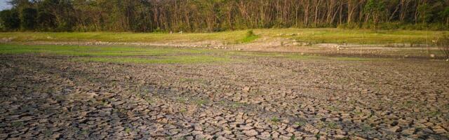 Teška godina iza srpskih paora: Suša, nagle promene vremena i visoki troškovi proizvodnje obeležili sezonu