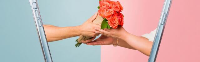 Seks na daljinu je moguć