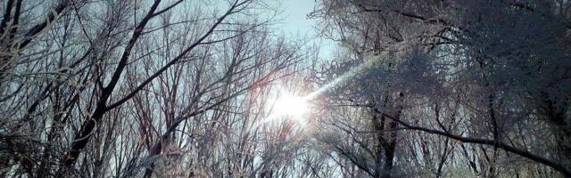 Temperatura u minusu ovog utorka: Novosađani, evo šta vas očekuje