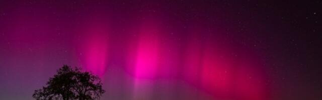 MISTERIOZNA SVETLOST PREKRILA NEBO: Građani u šoku posmatrali ružičasti sjaj dok je padao sneg! Svi mislili da je POLARNA SVETLOST, a evo šta se zapravo krije iza svega! (FOTO, VIDEO)