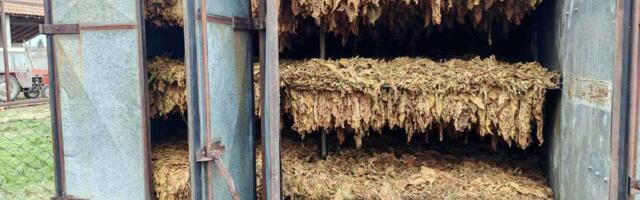 MUP: U Nikincima zaplenjeno 400 kilograma duvana, budžet države oštećen za 4,6 miliona dinara