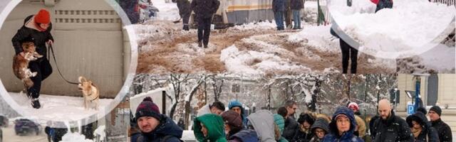 METEO ALARM ZA CELU ZEMLJU! Temperature padaju na -12 stepeni, izdato upozorenje na sneg, poledicu i olujni vetar! (FOTO)