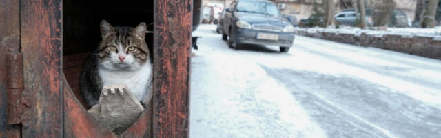 Киша и снег почели да падају дуж источне обале САД