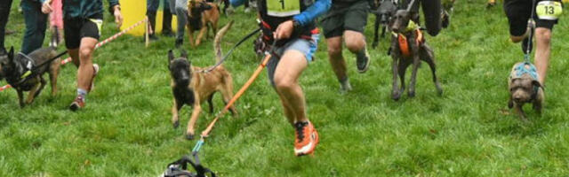 Так­ми­чар­ско-ре­кре­а­тив­на смо­тра „Трчање са псом”