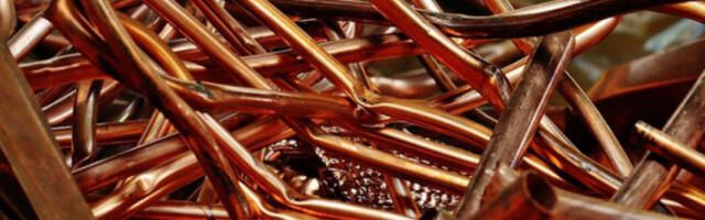 САД: цене бакра на највишем нивоу у последњих пет месеци