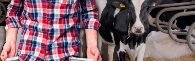 Mlekari traže zabranu uvoza, stručnjaci upozoravaju - teško, plaćamo cenu brze liberalizacije