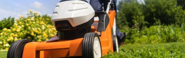 Bacate travu nakon košenja? Pravite veliku grešku - iskoristite je na ovaj način