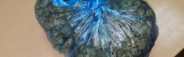 ZAPLENJEN KANABIS! Hapšenje u Kraljevu!