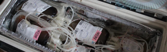 Dajte krv u četvrtak