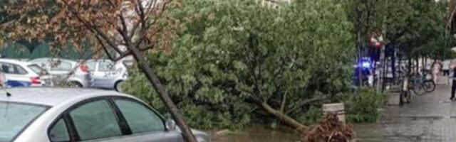 NEVREME POGODILO PIROT: Ulice poplavljene, vetar čupao drveće (VIDEO)