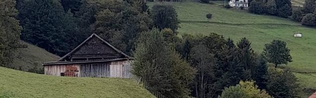 Zbog korupcije od 2009. zaplenjeno 40.300 kvadrata, 26 ovaca i jedna koza
