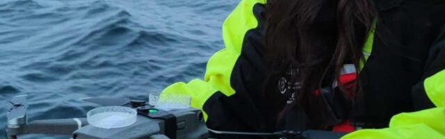 Otkriven smrtonosni virus u mlaznicima arktičkih kitova