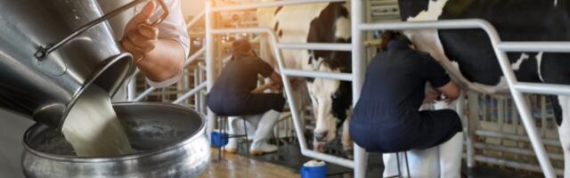 Nastavljeni protesti poljoprivrednika u Mrčajevcima i Bogatiću: Blokirani putevi