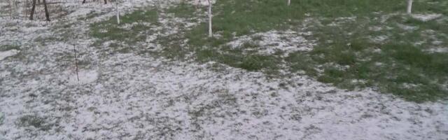Grad veličine oraha obrušio se na ovaj deo Srbije: Meštani u neverici, padavine uništile voćnjake (VIDEO)