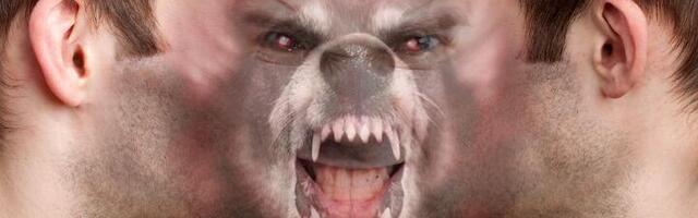 "'Čovek je čoveku vuk' - nepoštedna borba oko plena"