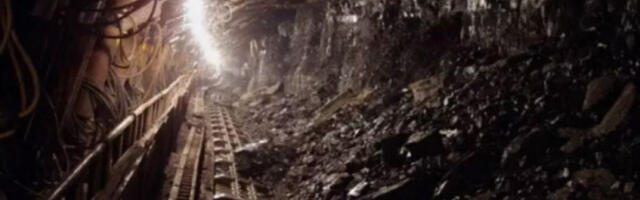 Канадска компанија у Србији тражи дугорочне уговоре за откуп бора