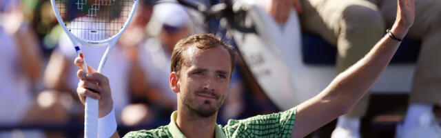 Crni Medvedev -  Pobegao iz Dubaija, putovao 7 sati, vozač izgubio pasoš na parkingu