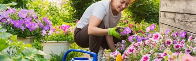 Srbi je masovno sade u dvorištu, a zmije se tu talože: Ova biljka ih privlači kao magnet-opasnost vreba iza svakog lista