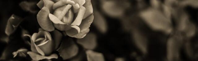 Preminuo novinar Boro Lazukić