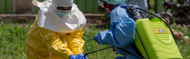 SVET NA NOGAMA ZBOG JEZIVOG SCENARIJA! Preti NAJVEĆA EPIDEMIJA EBOLE U ISTORIJI: Kompjuterski modeli predviđaju katastrofu, evo koliko ljudi će biti zaraženo